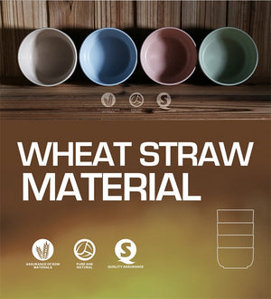 4 Piece Eco-Friendly Wheat Fiber Bowl Set - THE EUPHORIKA