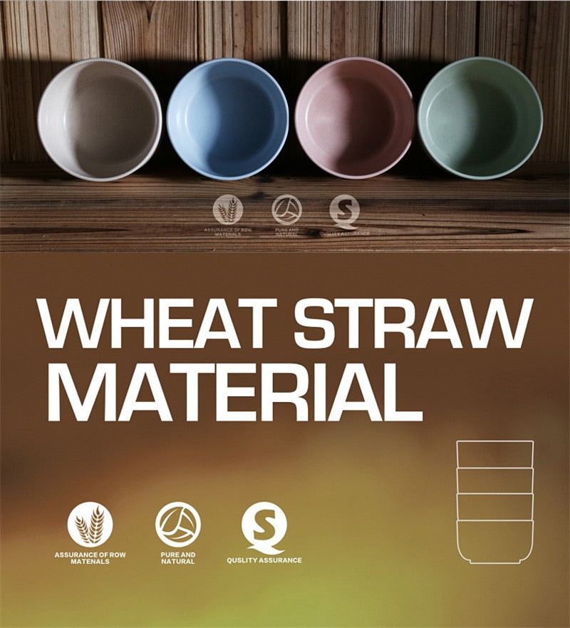 4 Piece Eco-Friendly Wheat Fiber Bowl Set - THE EUPHORIKA